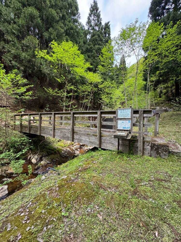 樹齢2000年のカツラ、山も谷も深い自然あふれる山『東床尾山』