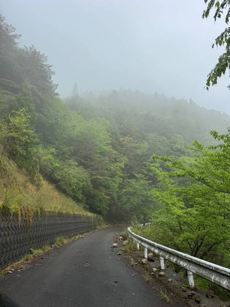 かつては修験者が往来した1000m超の山脈が続く果無山脈の最高峰『冷水山』