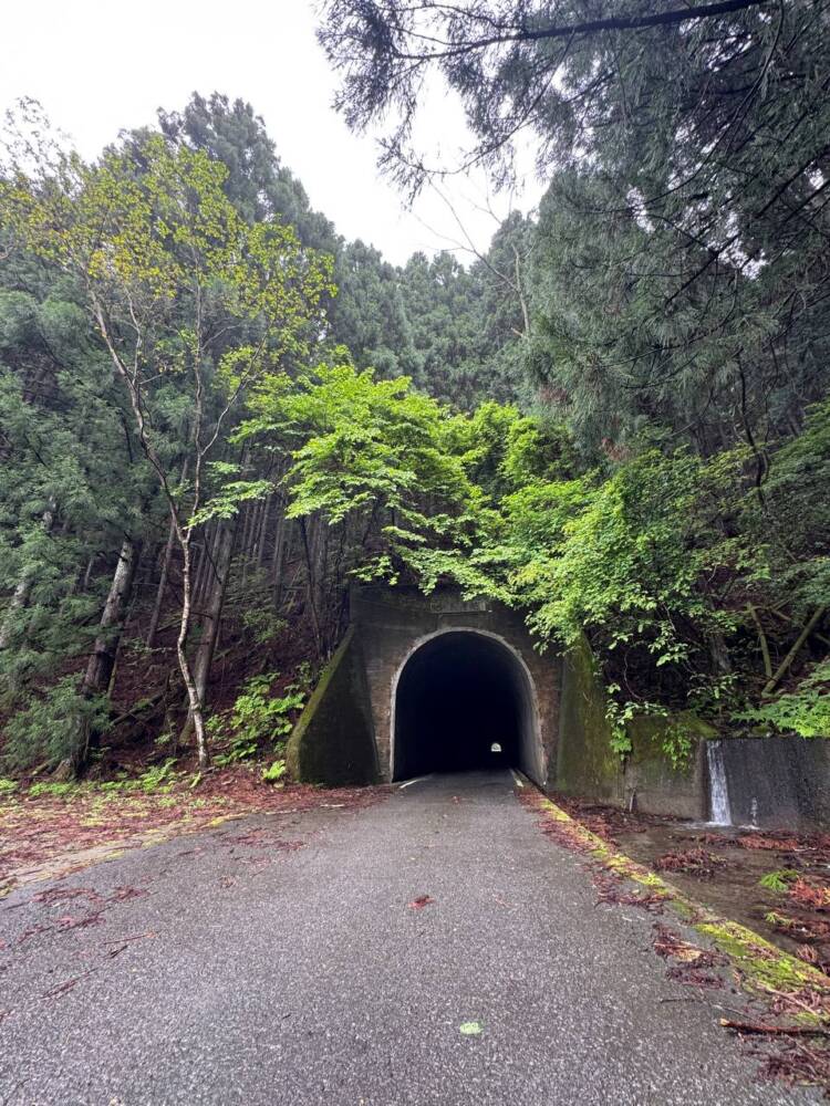 かつては修験者が往来した1000m超の山脈が続く果無山脈の最高峰『冷水山』