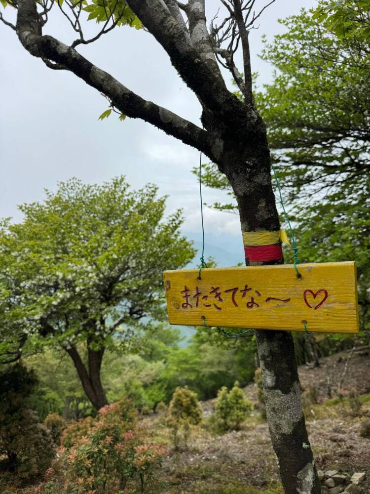 かつては修験者が往来した1000m超の山脈が続く果無山脈の最高峰『冷水山』
