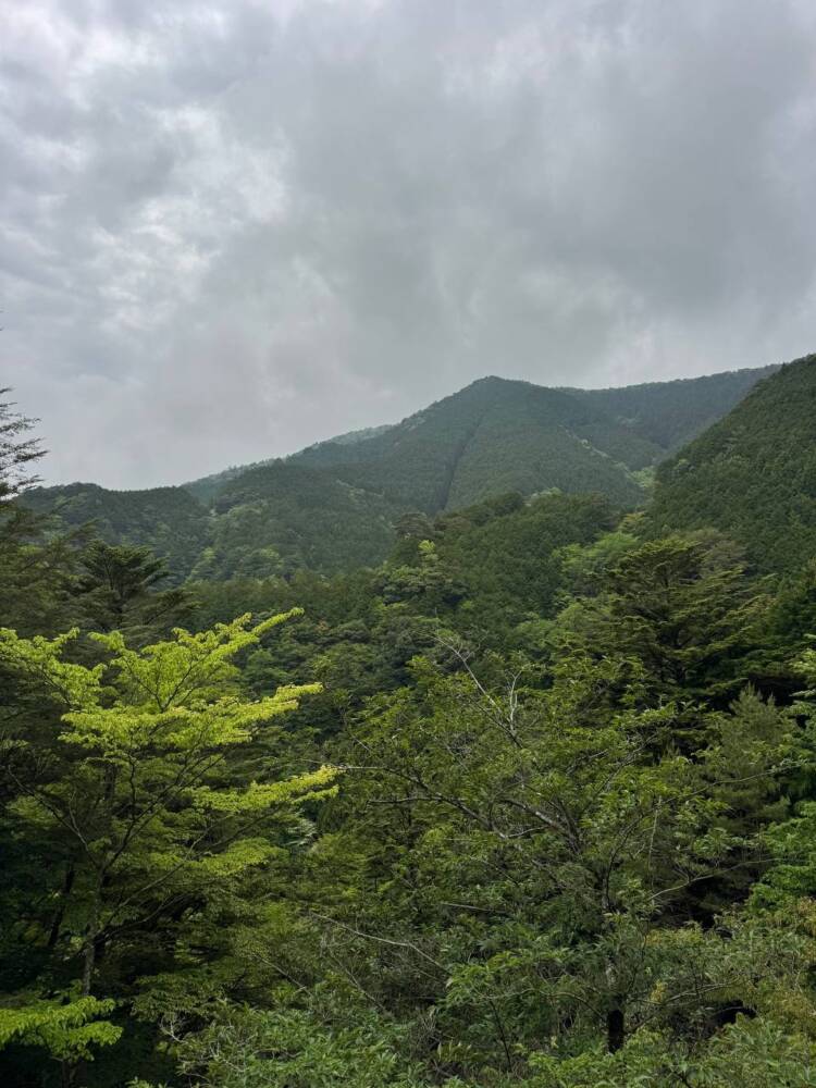 かつては修験者が往来した1000m超の山脈が続く果無山脈の最高峰『冷水山』