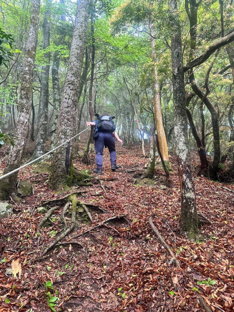 かつては修験者が往来した1000m超の山脈が続く果無山脈の最高峰『冷水山』