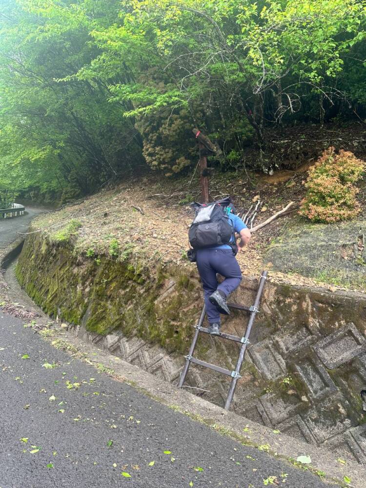 かつては修験者が往来した1000m超の山脈が続く果無山脈の最高峰『冷水山』