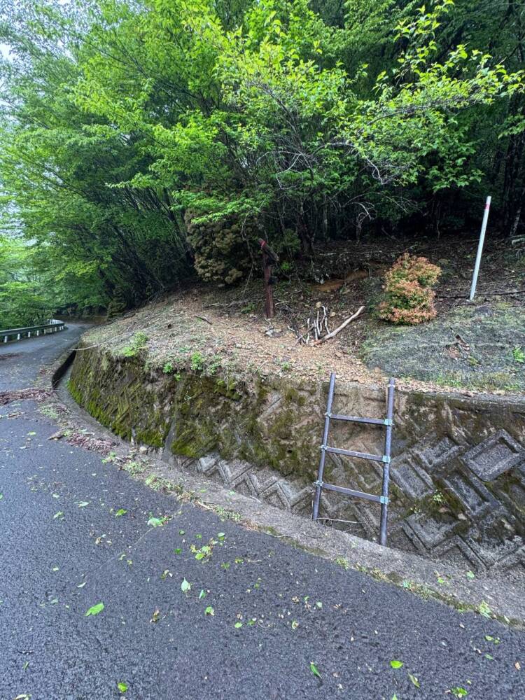 かつては修験者が往来した1000m超の山脈が続く果無山脈の最高峰『冷水山』