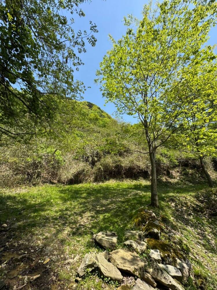 かつては活火山で山頂からの景色は青い日本海の絶景『依遅ヶ尾山』