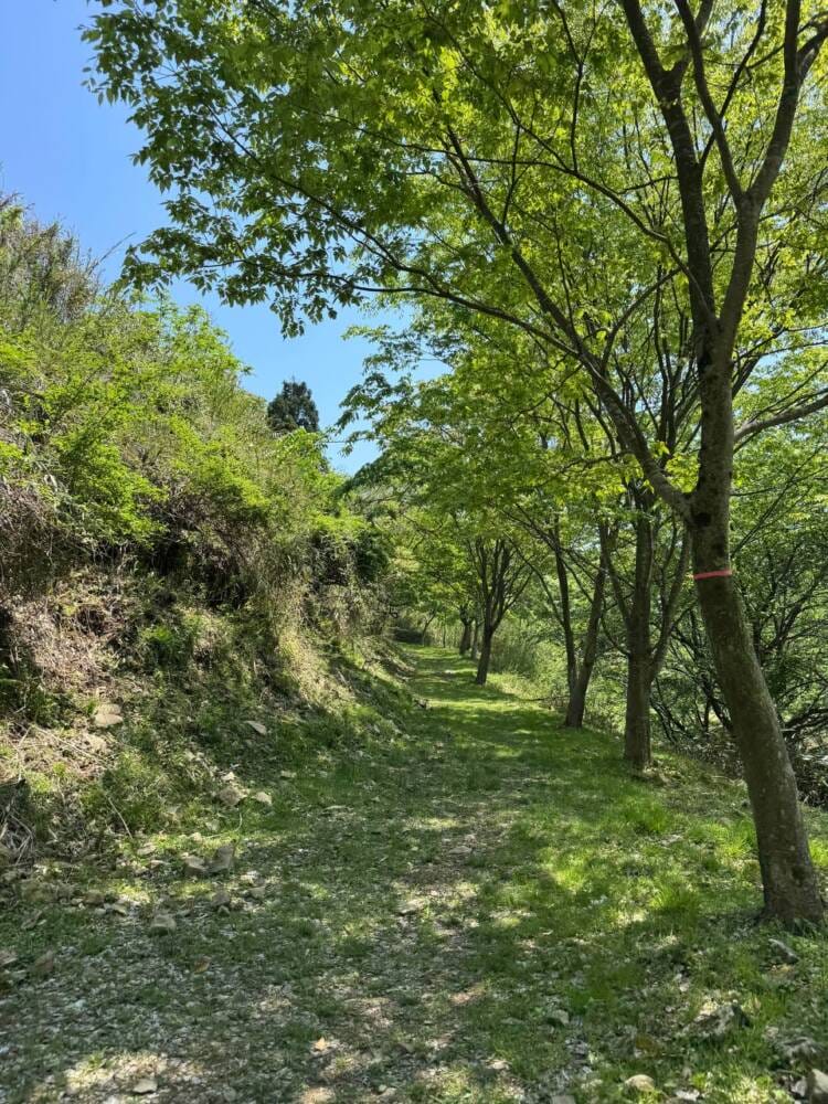 かつては活火山で山頂からの景色は青い日本海の絶景『依遅ヶ尾山』