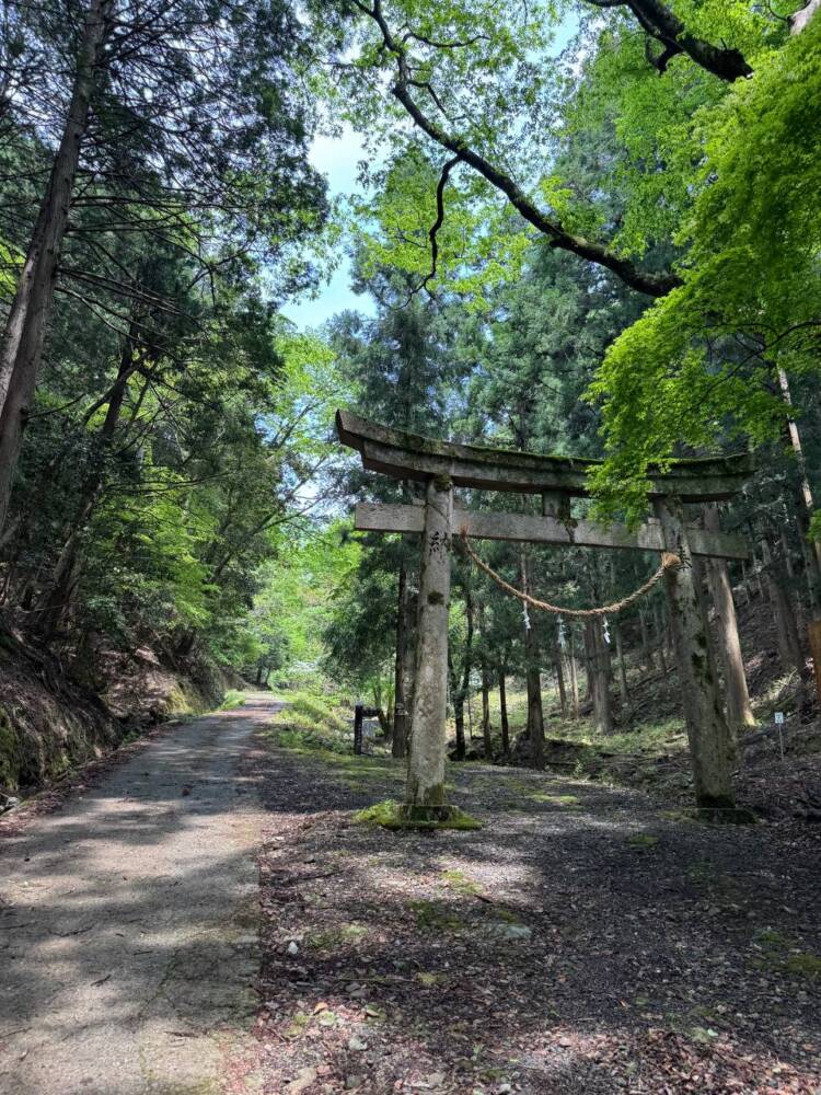 尖がった山で丹波富士とも呼ばれる美しい山容の『弥仙山』