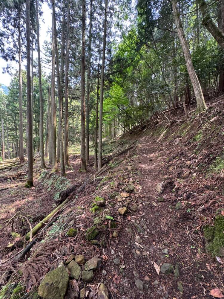 尖がった山で丹波富士とも呼ばれる美しい山容の『弥仙山』
