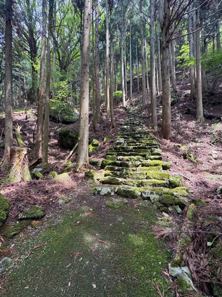 尖がった山で丹波富士とも呼ばれる美しい山容の『弥仙山』