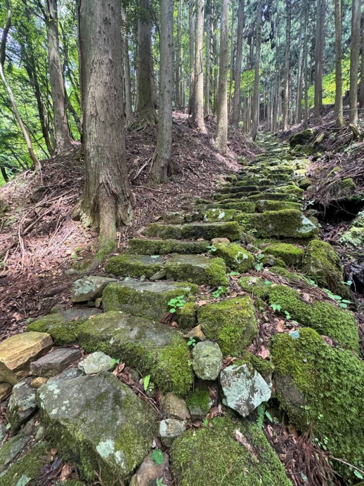 尖がった山で丹波富士とも呼ばれる美しい山容の『弥仙山』