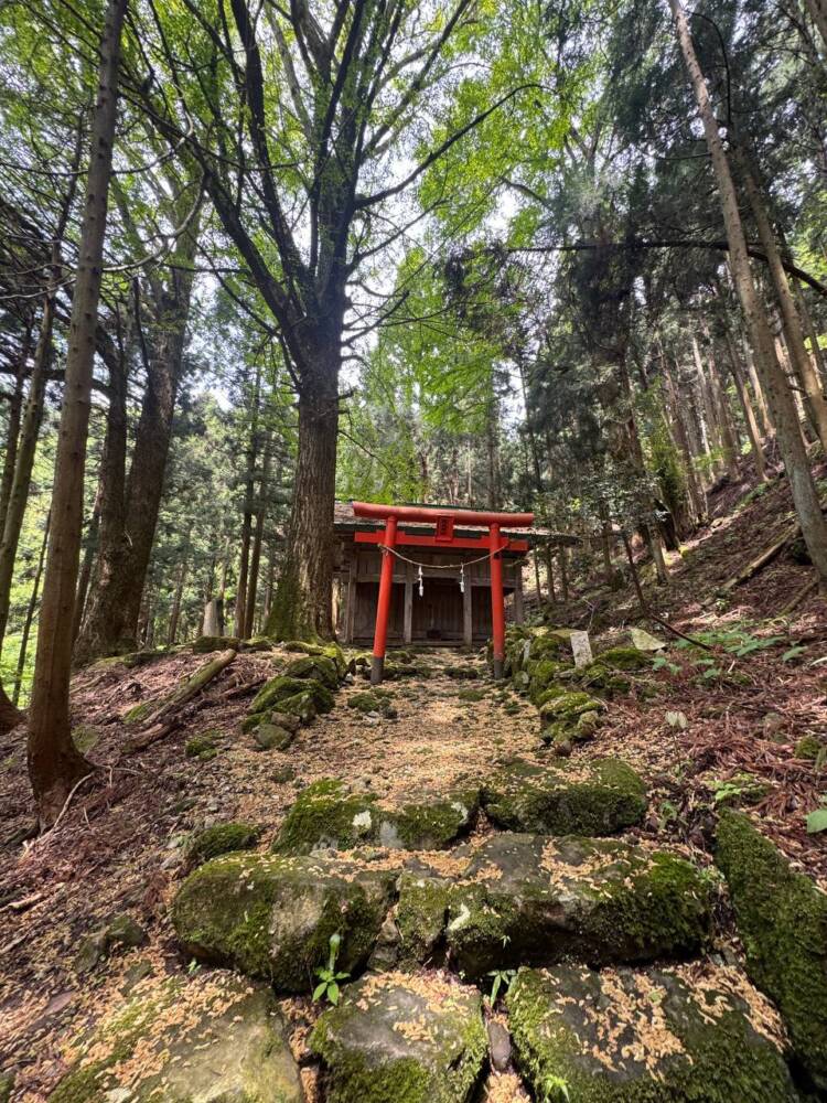 尖がった山で丹波富士とも呼ばれる美しい山容の『弥仙山』