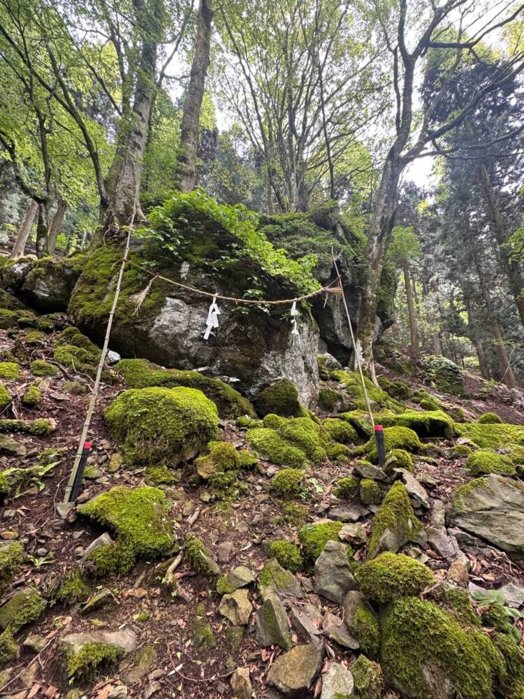 尖がった山で丹波富士とも呼ばれる美しい山容の『弥仙山』