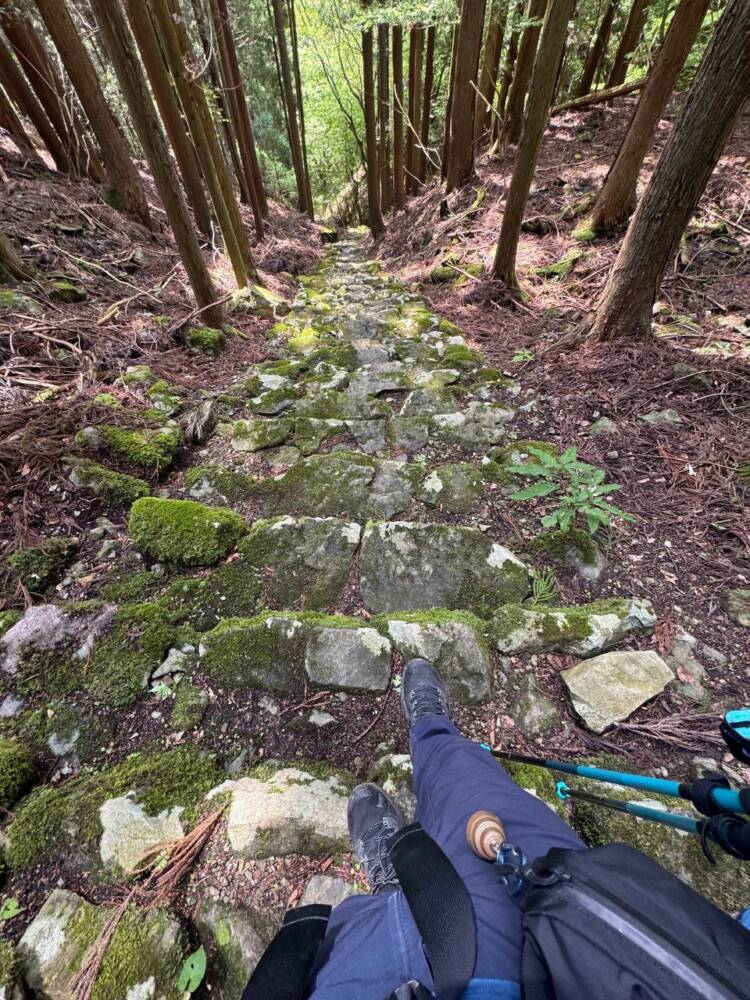 尖がった山で丹波富士とも呼ばれる美しい山容の『弥仙山』