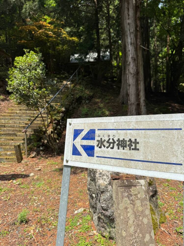 尖がった山で丹波富士とも呼ばれる美しい山容の『弥仙山』