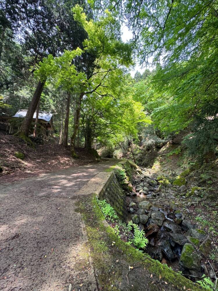 尖がった山で丹波富士とも呼ばれる美しい山容の『弥仙山』