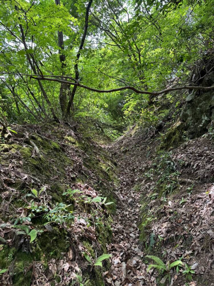 山容は美しく信仰の山ですが、登るには辛い山『七七頭ヶ岳』
