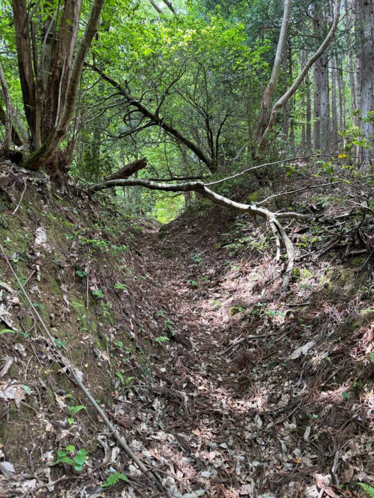 山容は美しく信仰の山ですが、登るには辛い山『七七頭ヶ岳』