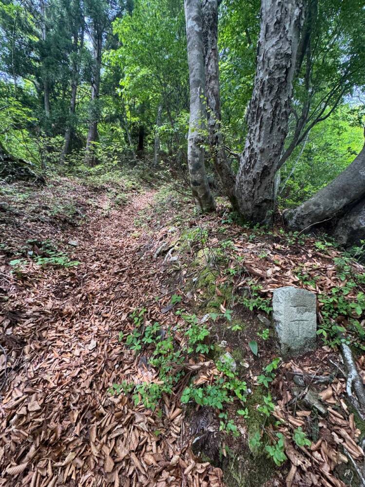 山容は美しく信仰の山ですが、登るには辛い山『七七頭ヶ岳』