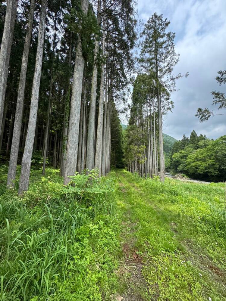 山容は美しく信仰の山ですが、登るには辛い山『七七頭ヶ岳』