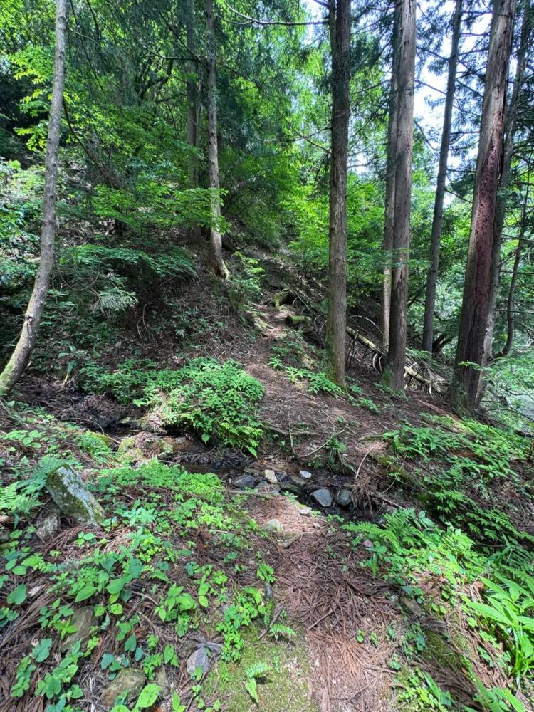 山容は美しく信仰の山ですが、登るには辛い山『七七頭ヶ岳』