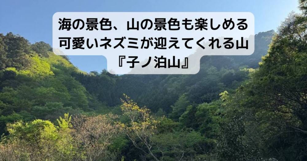 海の景色、山の景色も楽しめる可愛いネズミが迎えてくれる山 『子ノ泊山』
