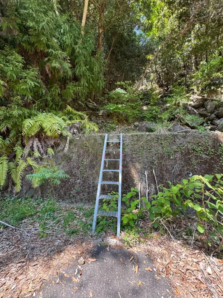 海の景色、山の景色も楽しめる可愛いネズミが迎えてくれる山 『子ノ泊山』