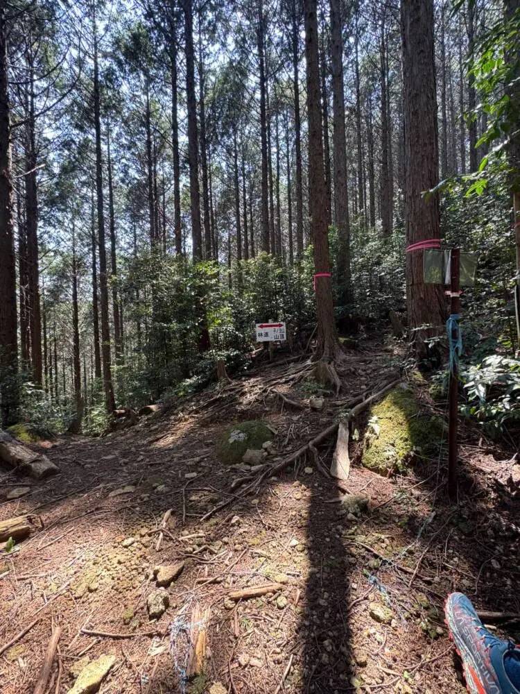海の景色、山の景色も楽しめる可愛いネズミが迎えてくれる山 『子ノ泊山』