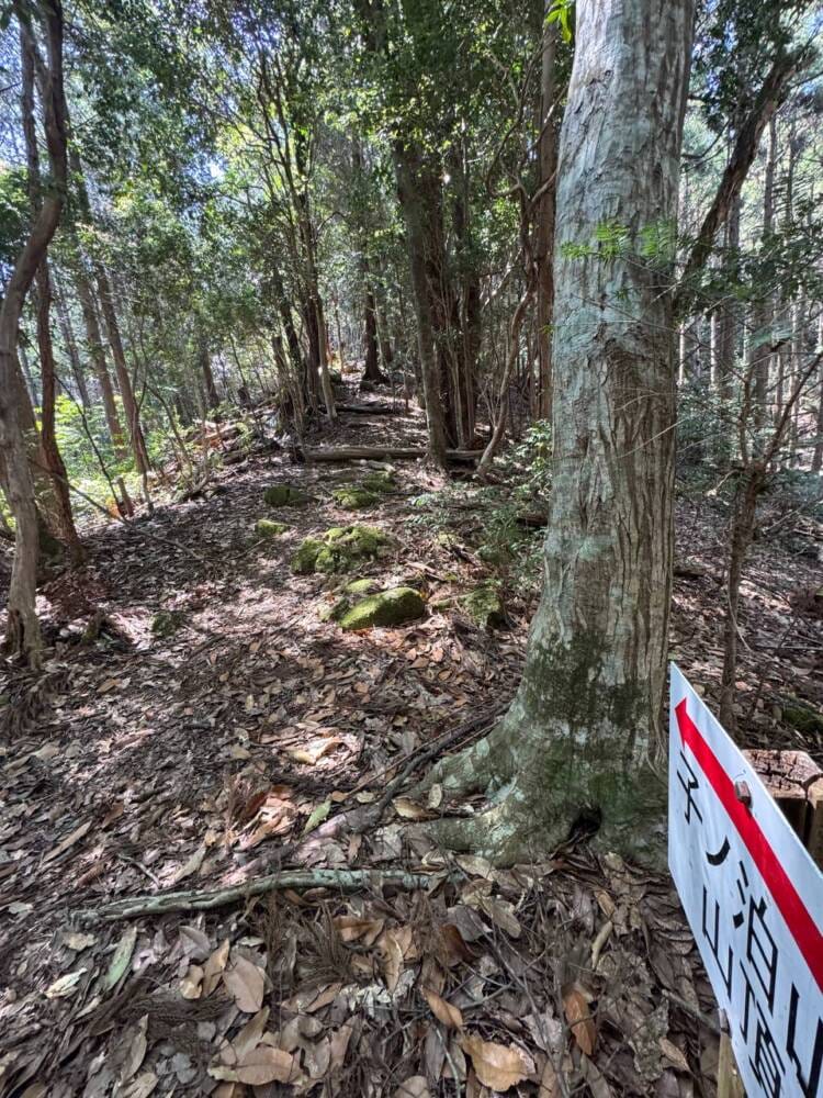 海の景色、山の景色も楽しめる可愛いネズミが迎えてくれる山 『子ノ泊山』