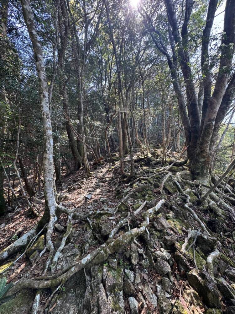 海の景色、山の景色も楽しめる可愛いネズミが迎えてくれる山 『子ノ泊山』