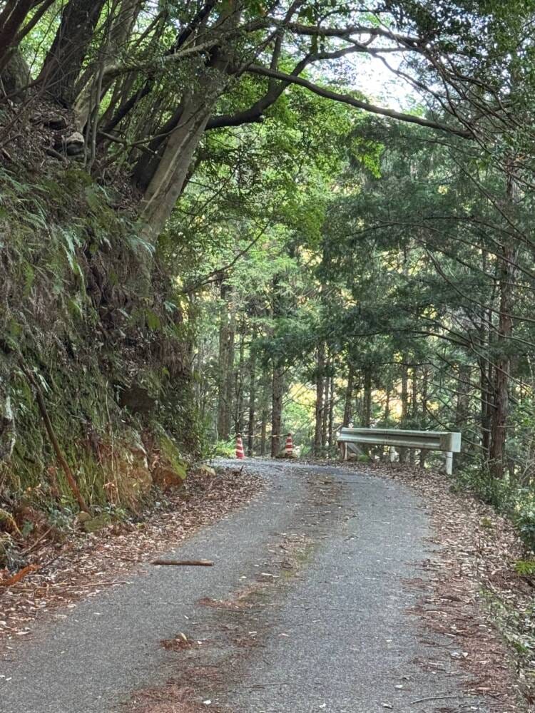 海の景色、山の景色も楽しめる可愛いネズミが迎えてくれる山 『子ノ泊山』