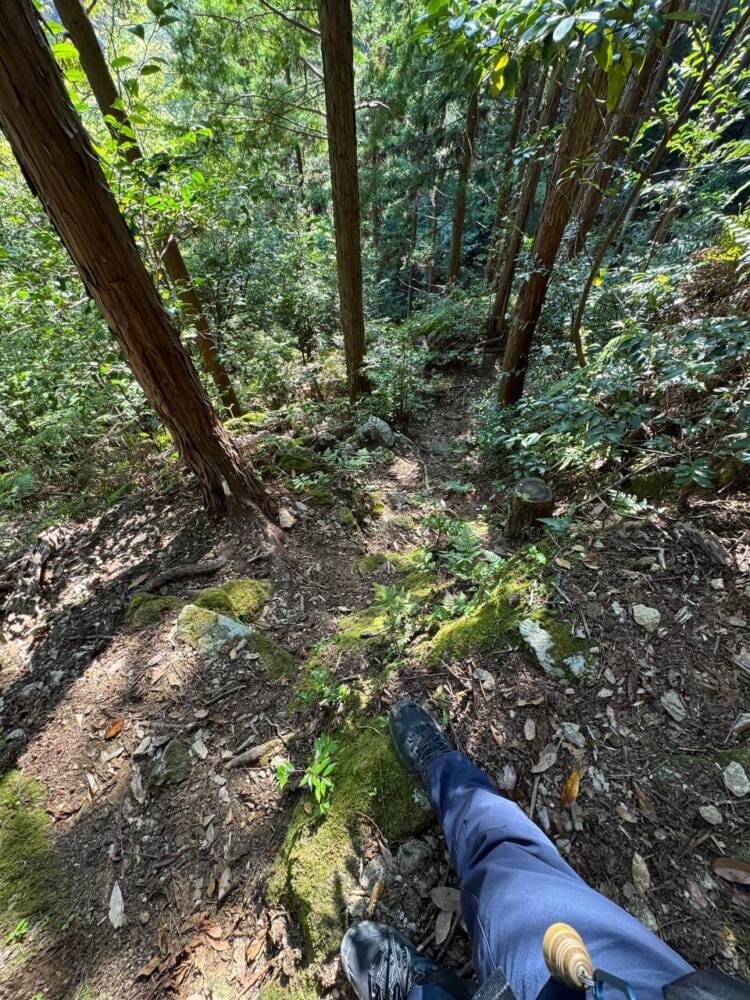 海の景色、山の景色も楽しめる可愛いネズミが迎えてくれる山 『子ノ泊山』