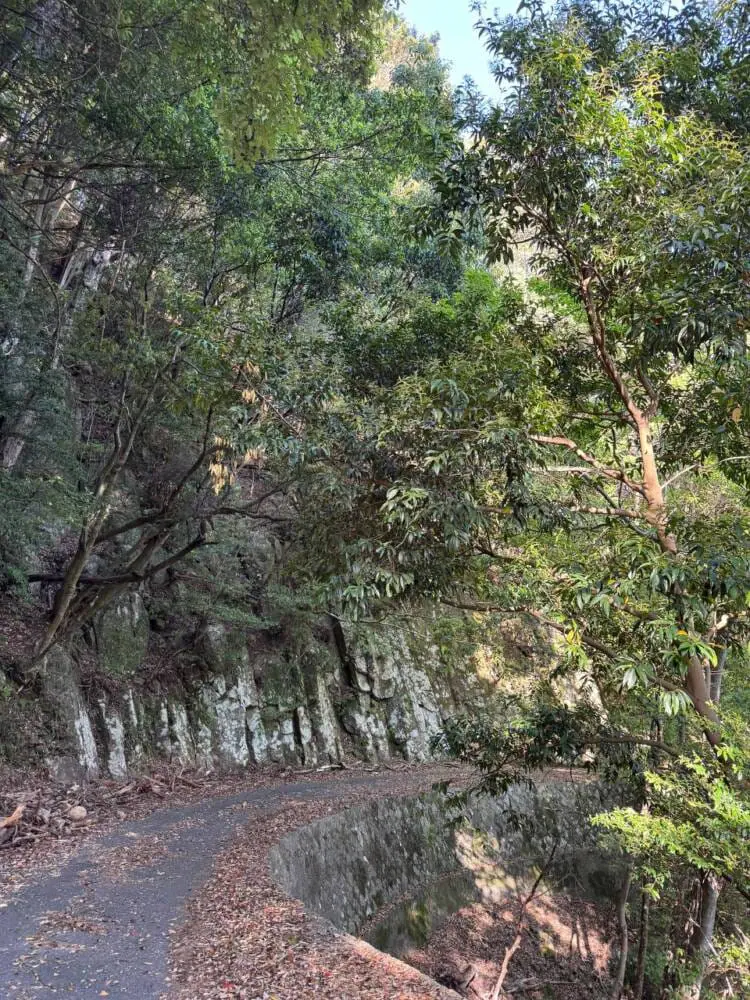 海の景色、山の景色も楽しめる可愛いネズミが迎えてくれる山 『子ノ泊山』