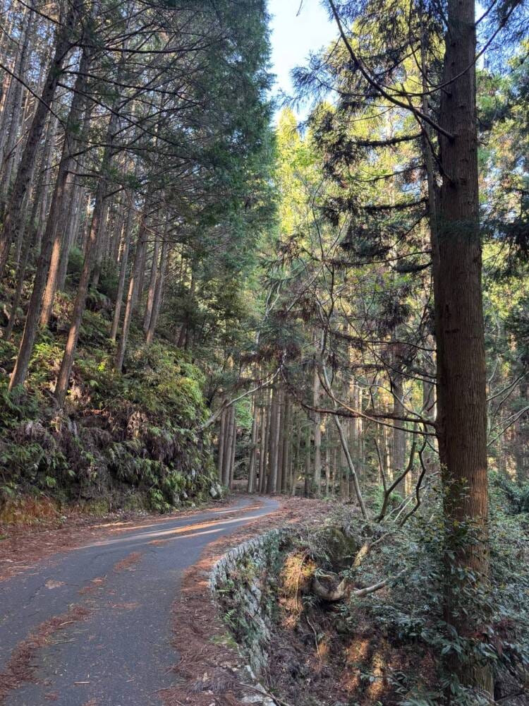 海の景色、山の景色も楽しめる可愛いネズミが迎えてくれる山 『子ノ泊山』