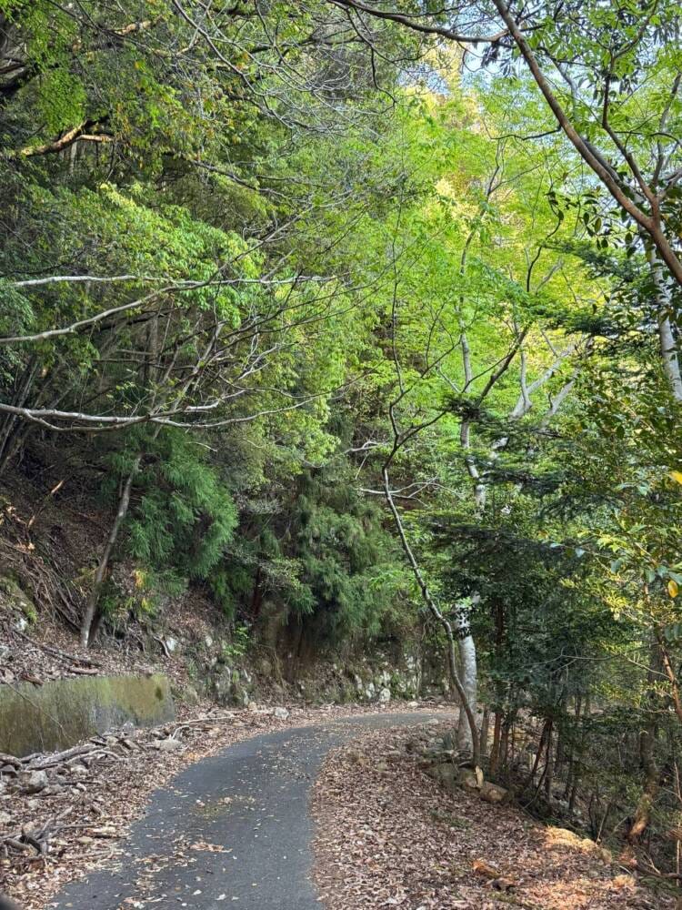 海の景色、山の景色も楽しめる可愛いネズミが迎えてくれる山 『子ノ泊山』