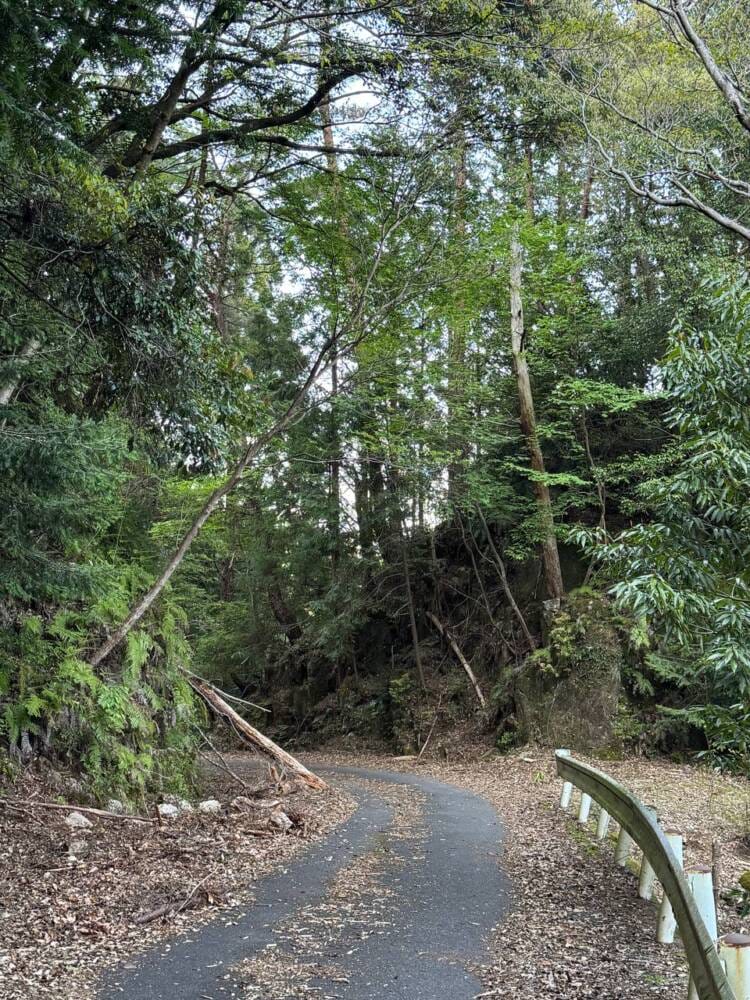 海の景色、山の景色も楽しめる可愛いネズミが迎えてくれる山 『子ノ泊山』