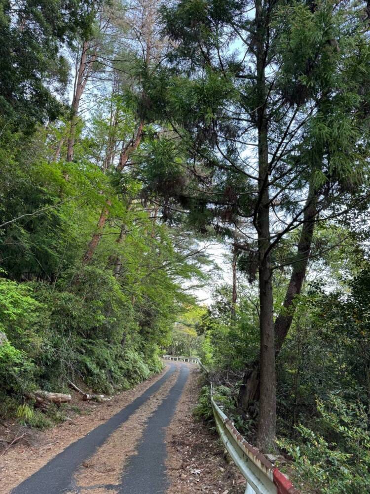 海の景色、山の景色も楽しめる可愛いネズミが迎えてくれる山 『子ノ泊山』