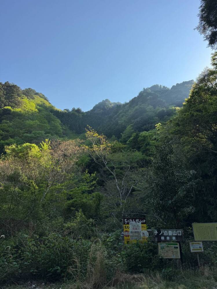 海の景色、山の景色も楽しめる可愛いネズミが迎えてくれる山 『子ノ泊山』