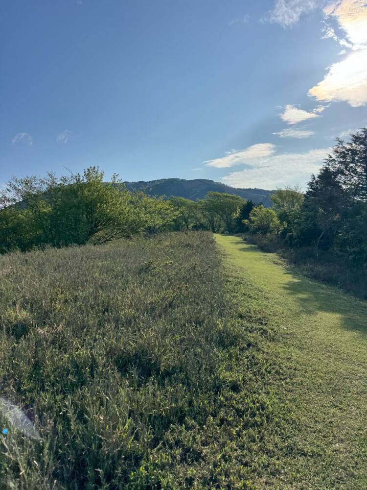 鬼伝説・雲海の名所で知られる大江山連峰の主峰『千丈ヶ嶽』