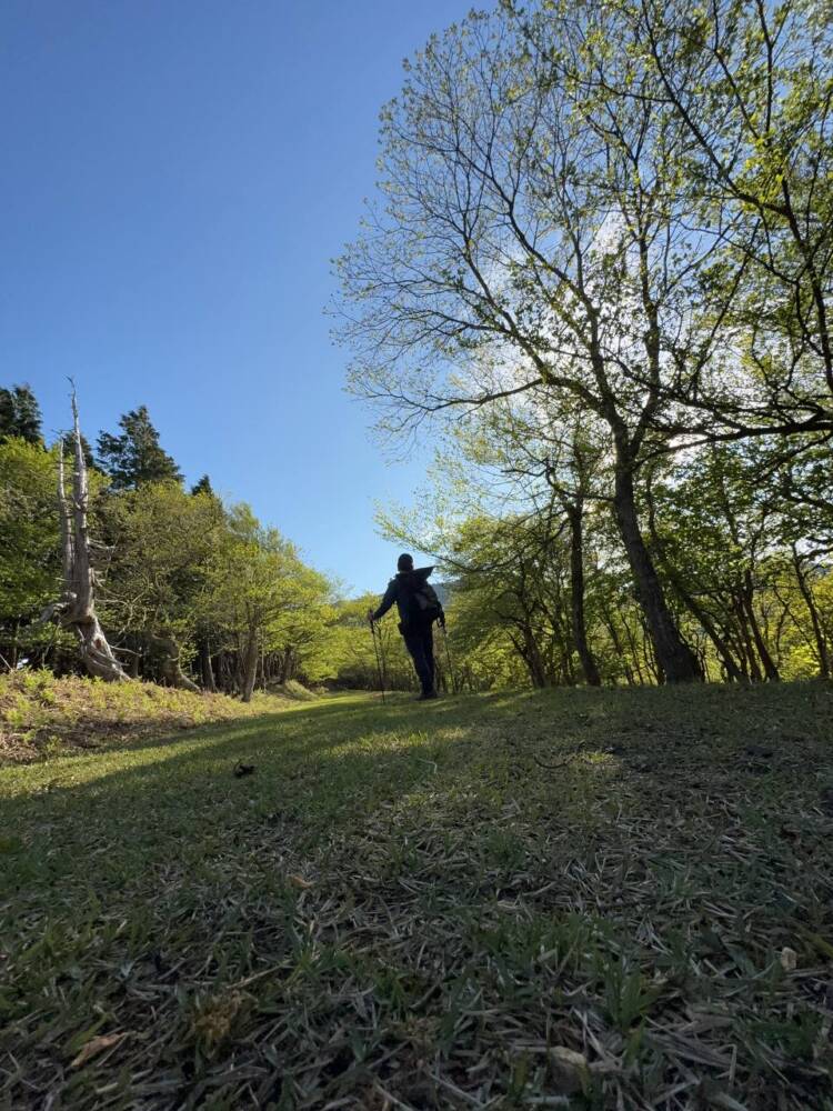 鬼伝説・雲海の名所で知られる大江山連峰の主峰『千丈ヶ嶽』