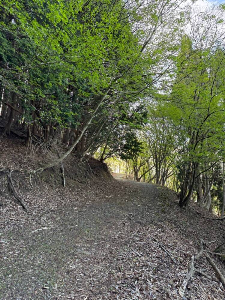 鬼伝説・雲海の名所で知られる大江山連峰の主峰『千丈ヶ嶽』