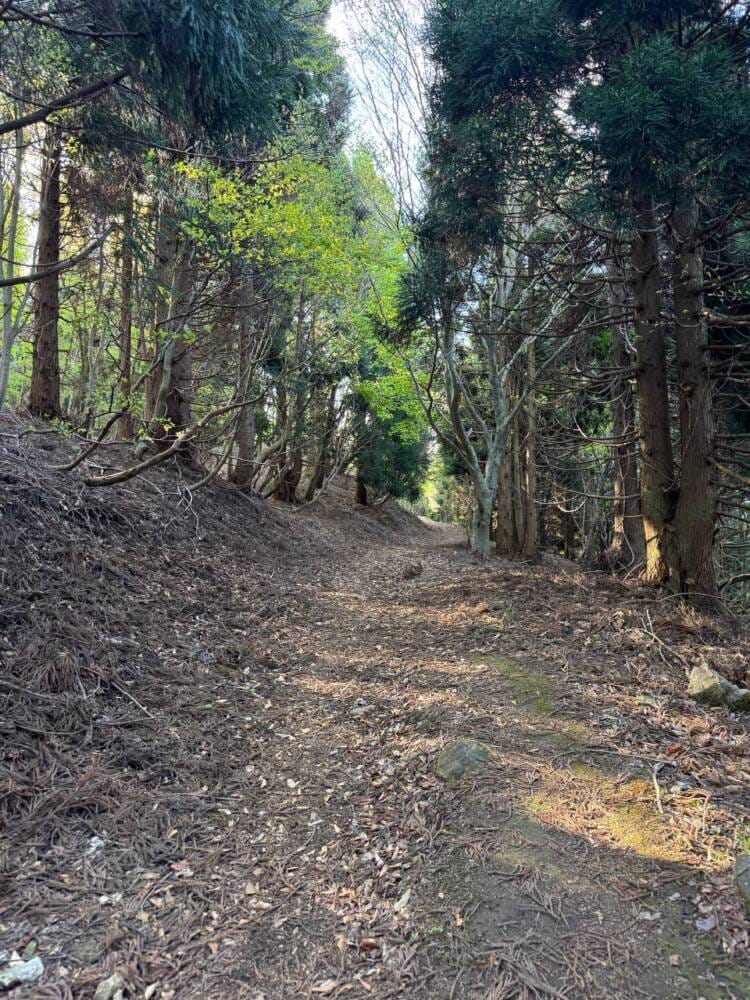 鬼伝説・雲海の名所で知られる大江山連峰の主峰『千丈ヶ嶽』