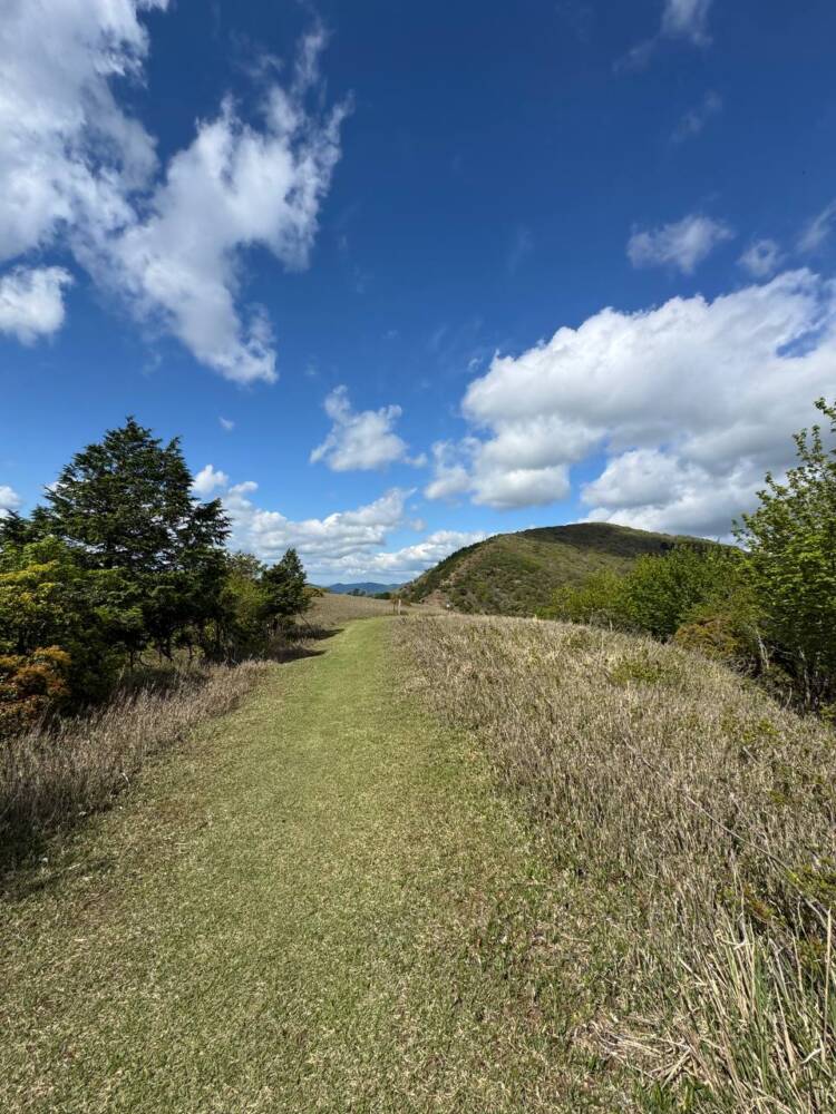 鬼伝説・雲海の名所で知られる大江山連峰の主峰『千丈ヶ嶽』