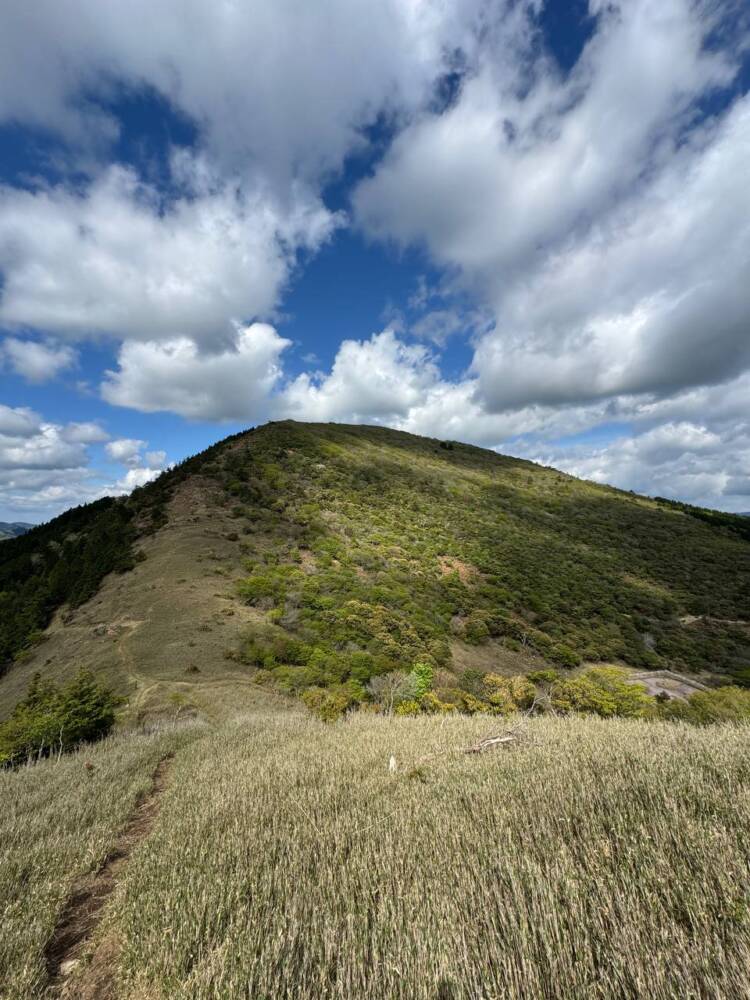 鬼伝説・雲海の名所で知られる大江山連峰の主峰『千丈ヶ嶽』
