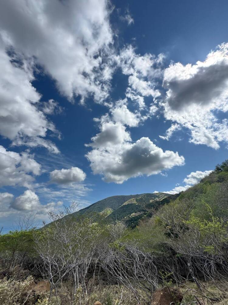鬼伝説・雲海の名所で知られる大江山連峰の主峰『千丈ヶ嶽』