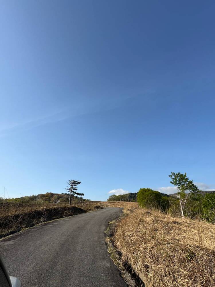 絶対にまた来たい最高のブナ原生林の景色に出会える山『扇ノ山』