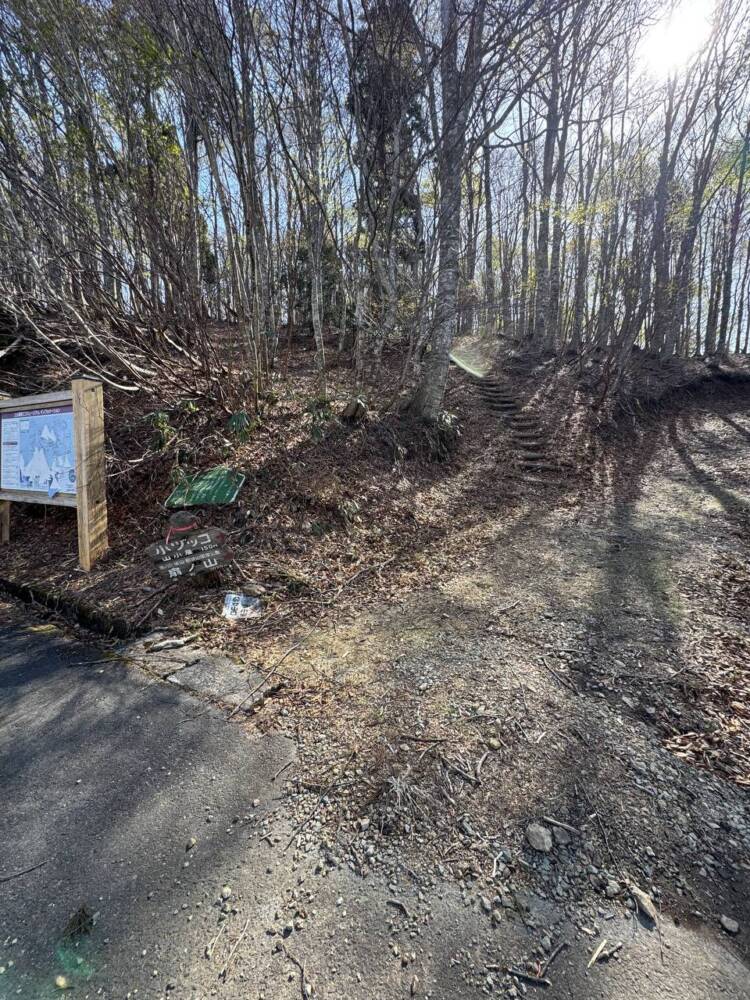 絶対にまた来たい最高のブナ原生林の景色に出会える山『扇ノ山』