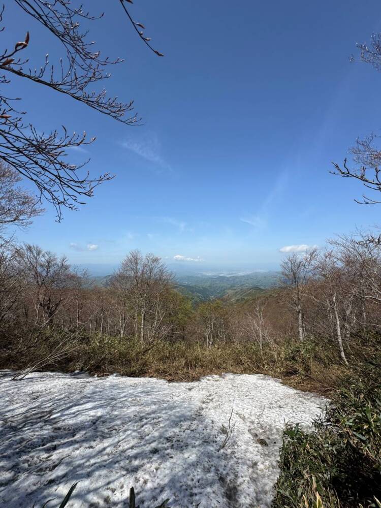 絶対にまた来たい最高のブナ原生林の景色に出会える山『扇ノ山』
