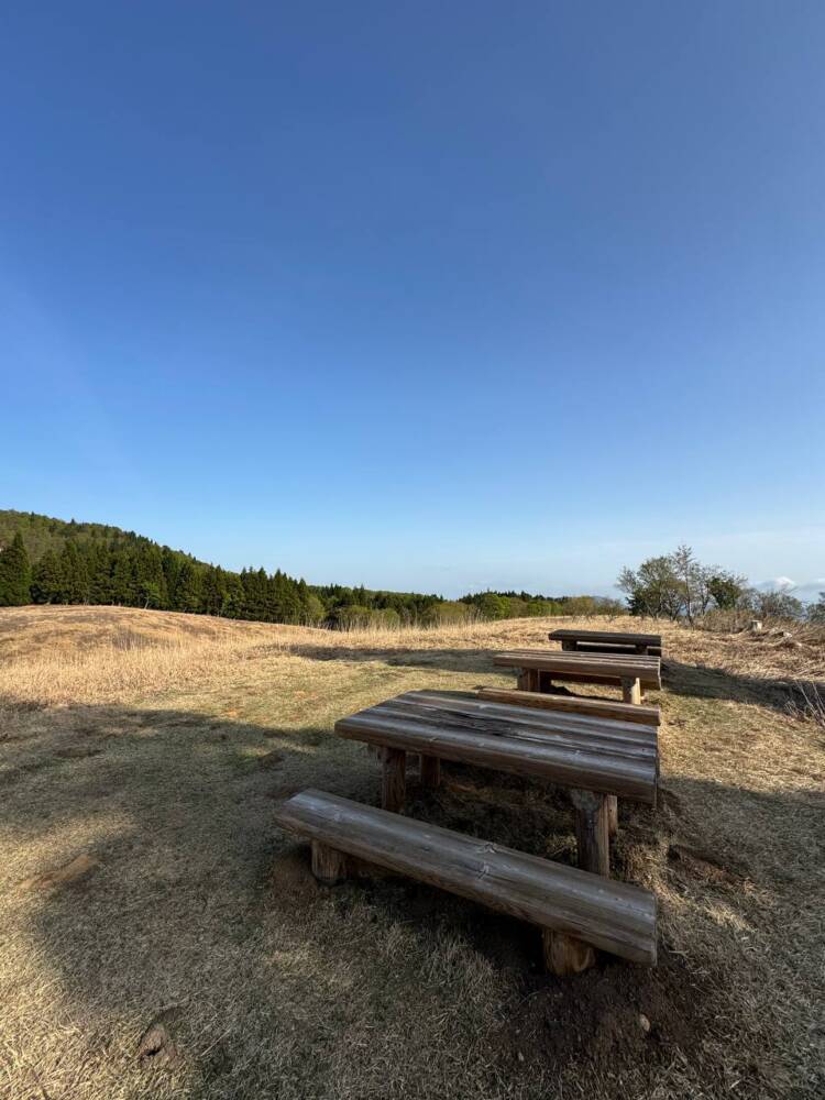 絶対にまた来たい最高のブナ原生林の景色に出会える山『扇ノ山』