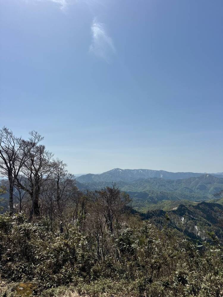 絶対にまた来たい最高のブナ原生林の景色に出会える山『扇ノ山』