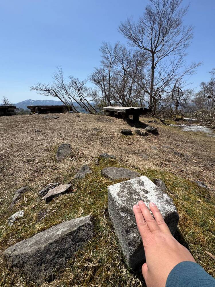 絶対にまた来たい最高のブナ原生林の景色に出会える山『扇ノ山』